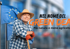 L'Europa ha approvato la legge sulla natura