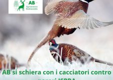 AB in difesa dei calendari regionali